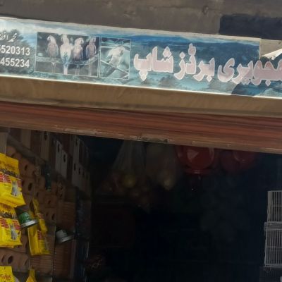 Birds Shop