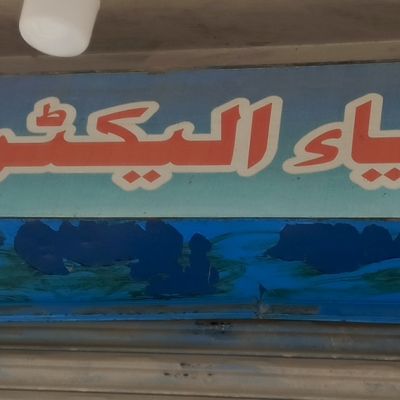 Zia Electronics