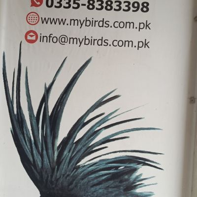 My Birds