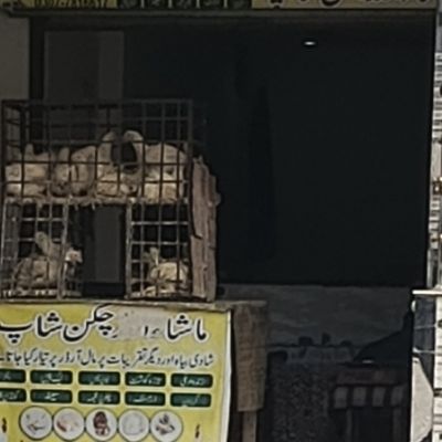 Mashallah Chicken Shop