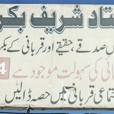 Ustad Shareef Bakra Shop