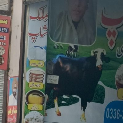 Al-Yusuf Rabi Milk shop