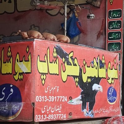 New Shaheen chicken shop
