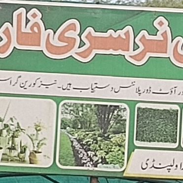 Mushtaq Ali Nursery Farm